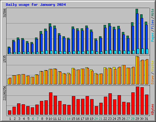 Daily usage for January 2024