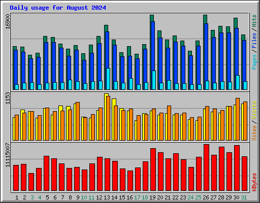 Daily usage for August 2024