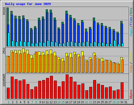 Daily usage for June 2025