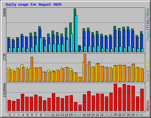Daily usage for August 2025