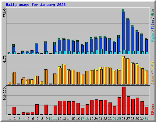 Daily usage for January 2026