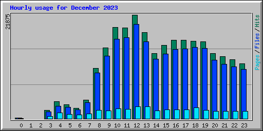 Hourly usage for December 2023