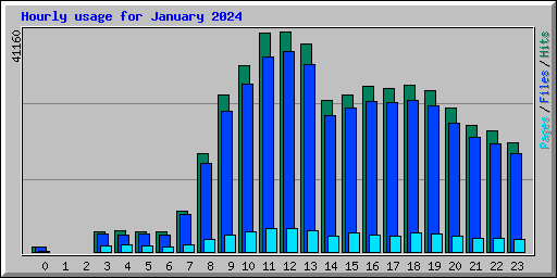 Hourly usage for January 2024