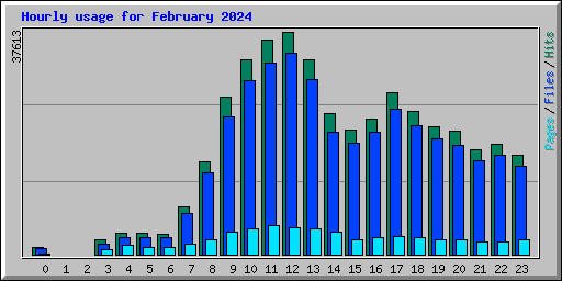 Hourly usage for February 2024