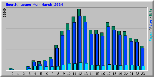 Hourly usage for March 2024