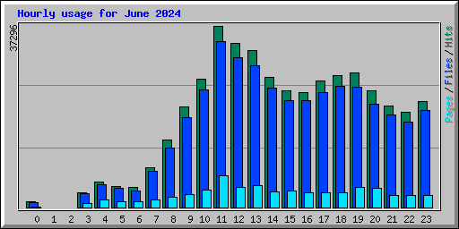 Hourly usage for June 2024