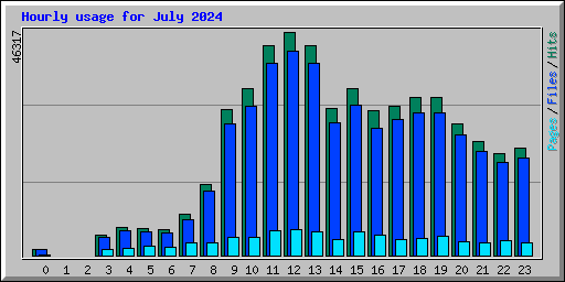 Hourly usage for July 2024