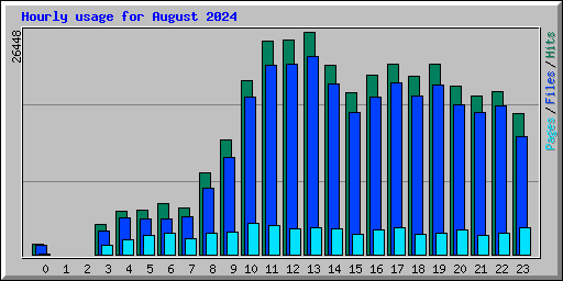 Hourly usage for August 2024