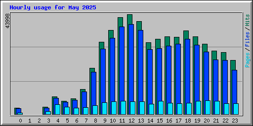 Hourly usage for May 2025