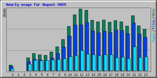 Hourly usage for August 2025