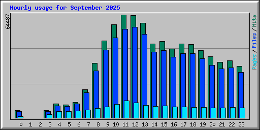 Hourly usage for September 2025