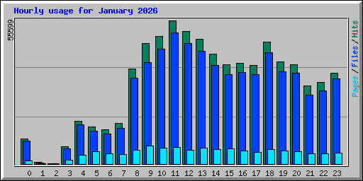 Hourly usage for January 2026