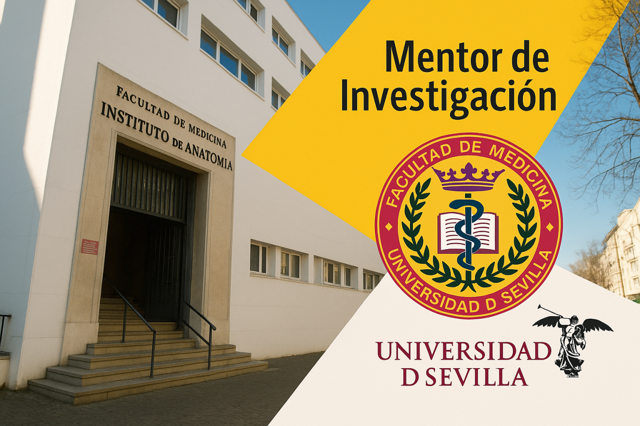 Mentor de Investigación